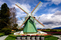 364-RoozenGaarde Windmill